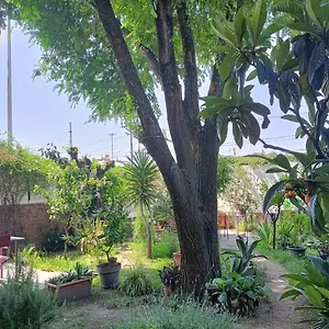  Alloggio in famiglia With A Garden